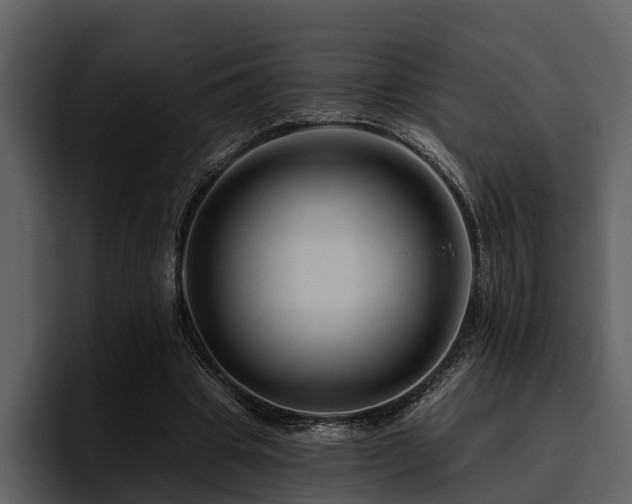 X0000095920441200801111238