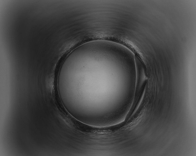 X0000095920443200801111238