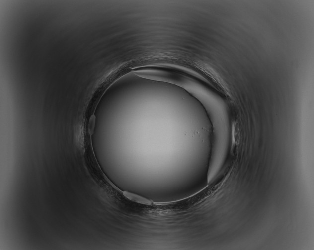X0000095920444200801111238