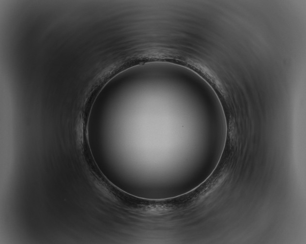 X0000095920445200801111238