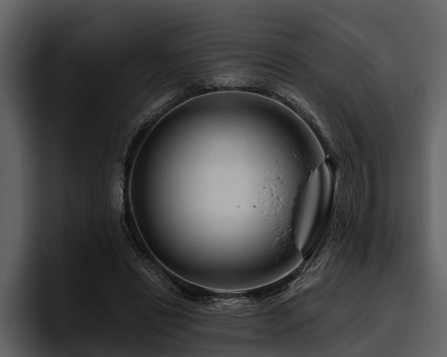 X0000095920446200801111238