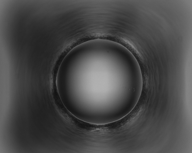 X0000095920447200801111238