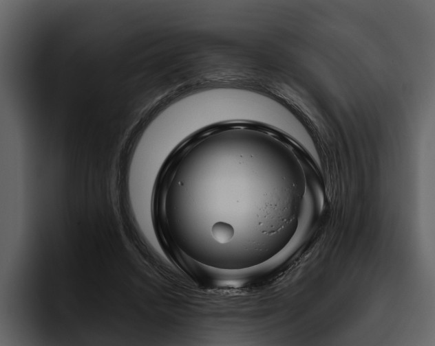 X0000095920448200801111238