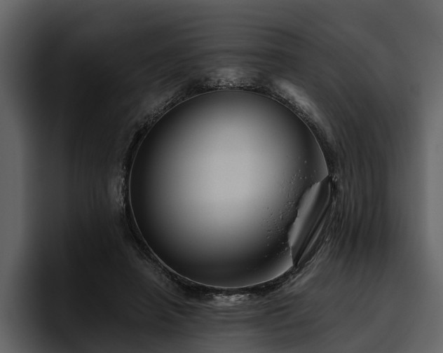 X0000095920450200801111238