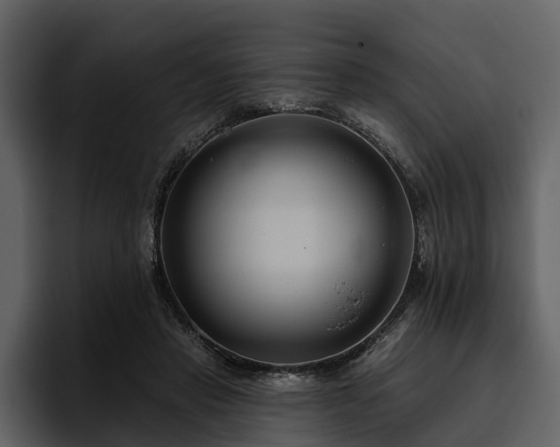 X0000095920453200801111238