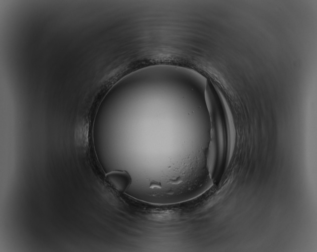 X0000095920454200801111238