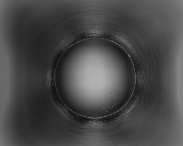 X0000095920455200801111238