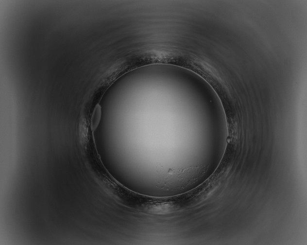 X0000095920456200801111238