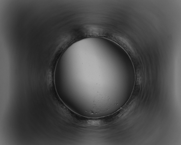 X0000095920457200801111238