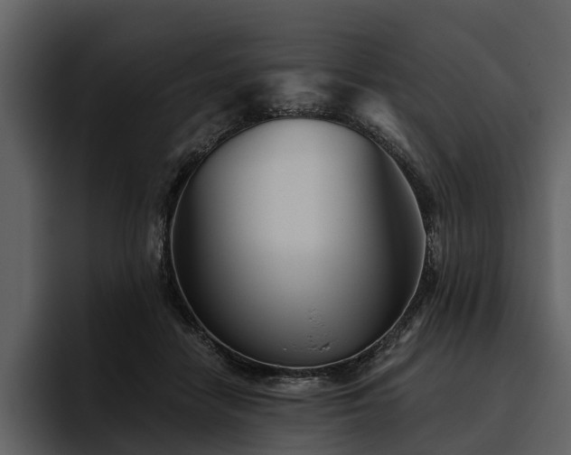 X0000095920458200801111238