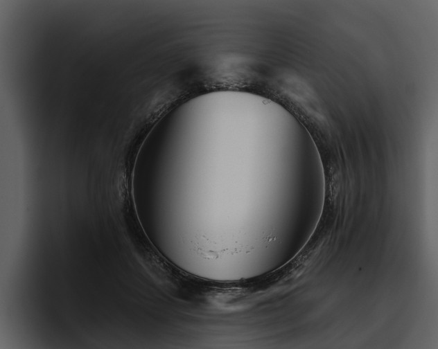 X0000095920459200801111238