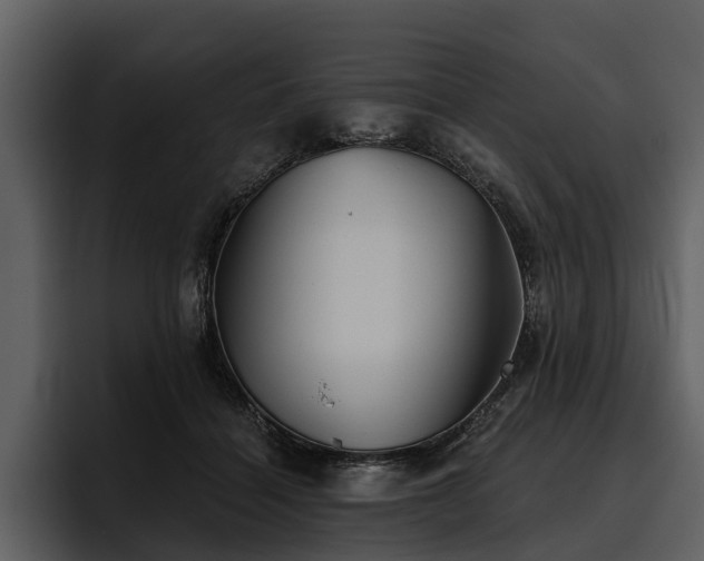 X0000095920460200801111238