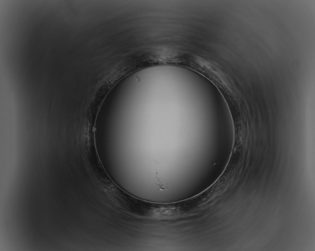 X0000095920461200801111238