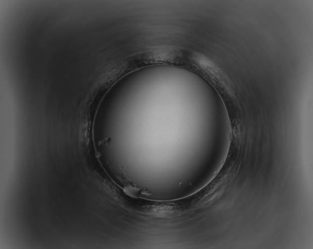 X0000095920462200801111238