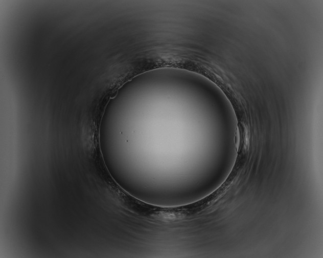 X0000095920464200801111238