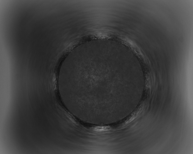 X0000095920465200801111238
