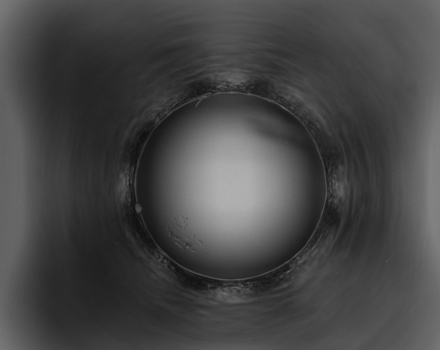 X0000095920468200801111238
