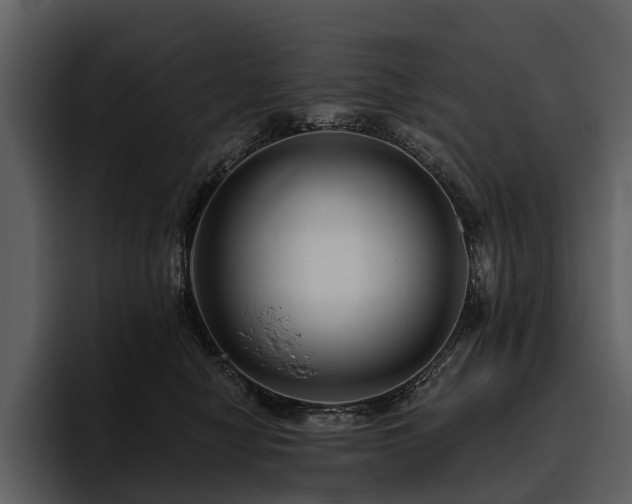 X0000095920470200801111239