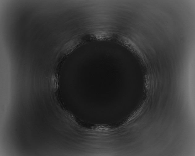 X0000095920471200801111239