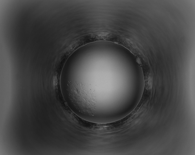 X0000095920472200801111239