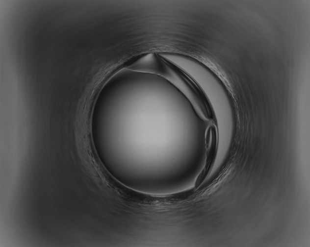 X0000095920481200801111238
