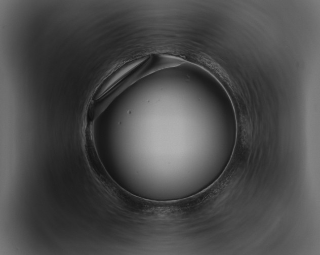 X0000095920482200801111238