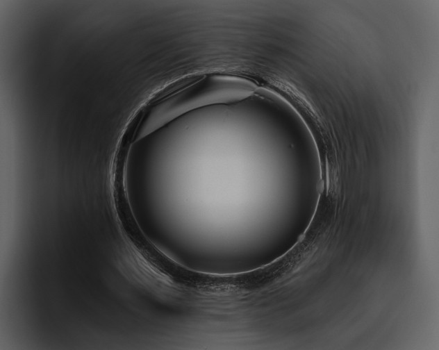 X0000095920483200801111238