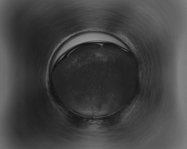 X0000095920484200801111238