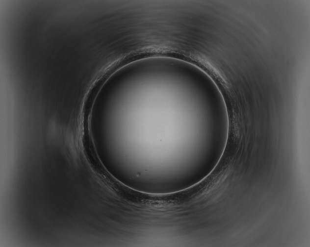 X0000095920486200801111238