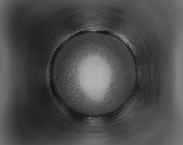 X0000095920487200801111238