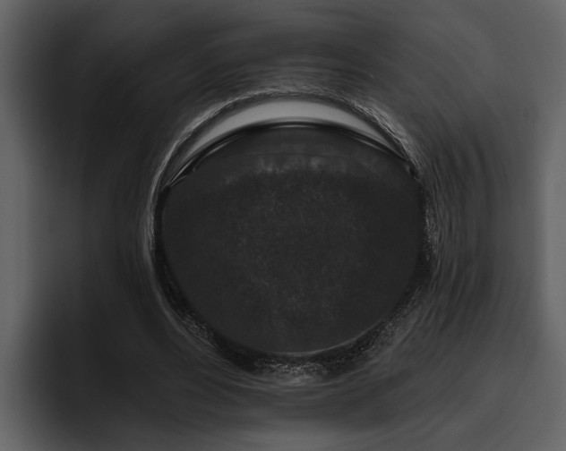 X0000095920488200801111238