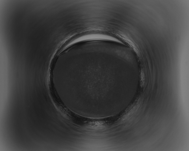 X0000095920492200801111238