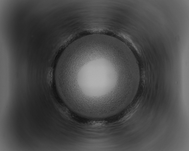 X0000095920495200801111238