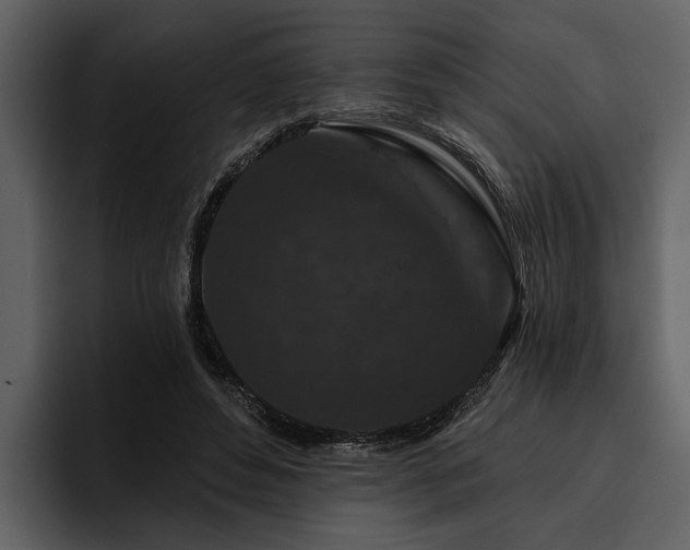 X0000095920496200801111238