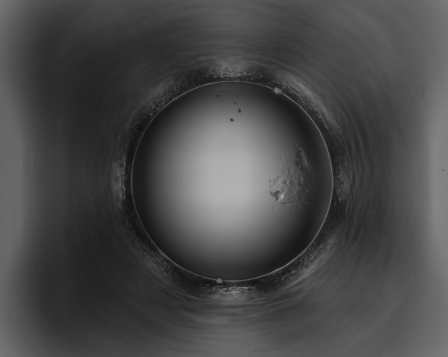 X0000095920497200801111238