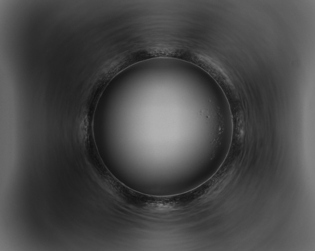 X0000095920498200801111238