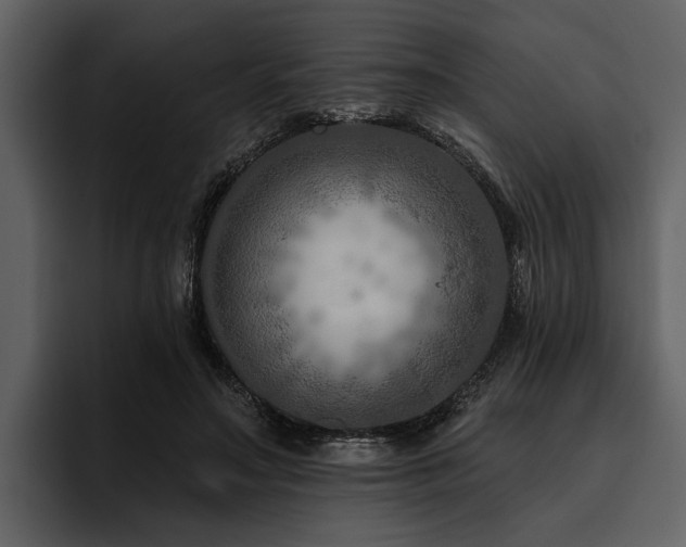 X0000095920499200801111238