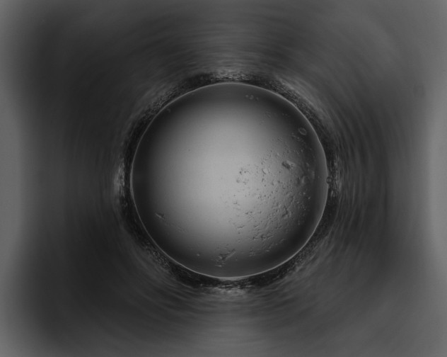 X0000095920502200801111238
