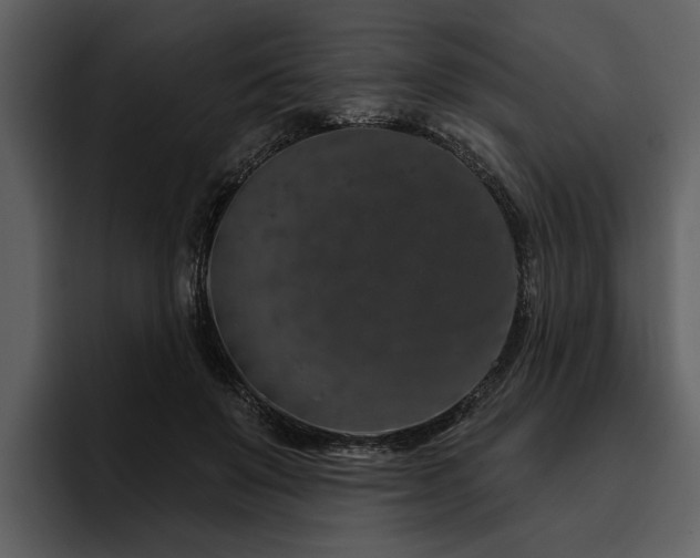 X0000095920503200801111238