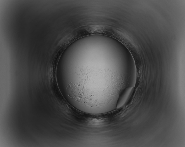 X0000095920506200801111238