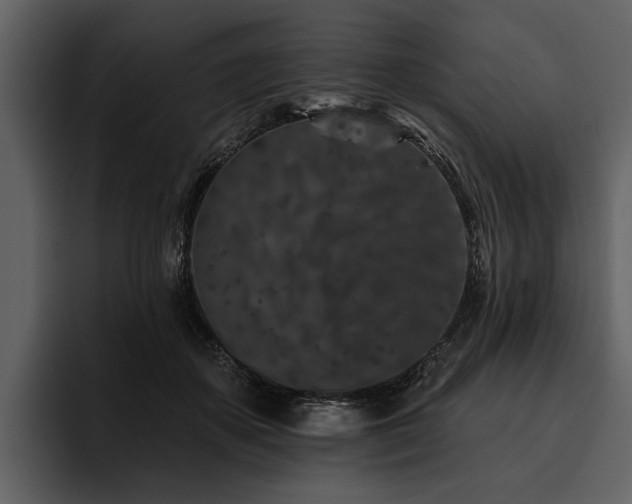 X0000095920507200801111238