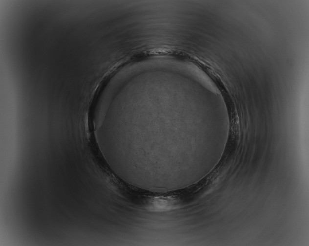X0000095920508200801111238