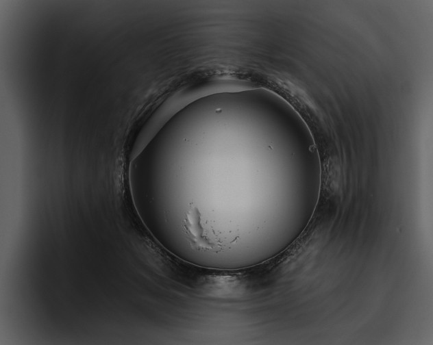X0000095920509200801111238