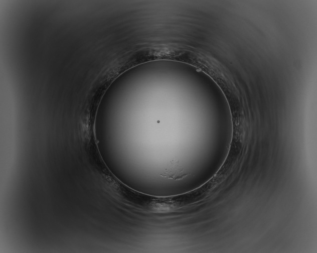 X0000095920510200801111238