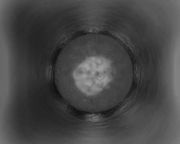 X0000095920511200801111238