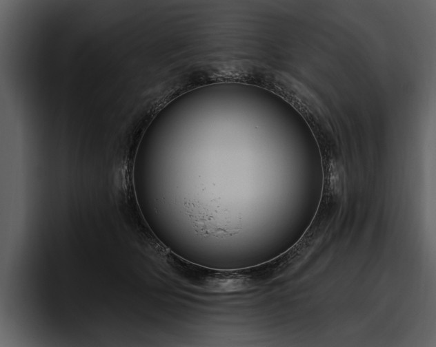X0000095920514200801111238