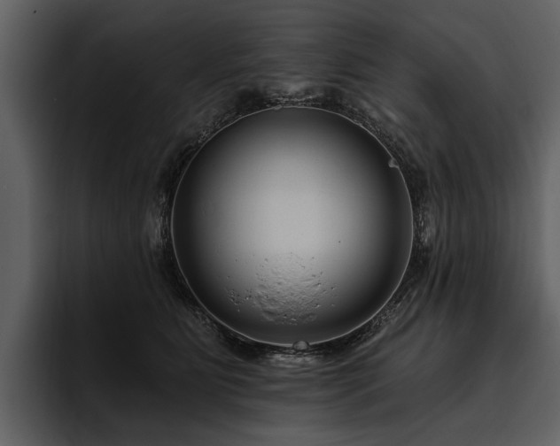 X0000095920515200801111238