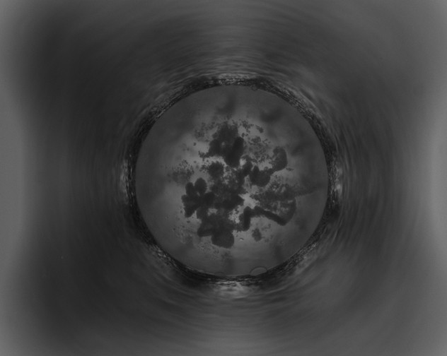 X0000095920519200801111238