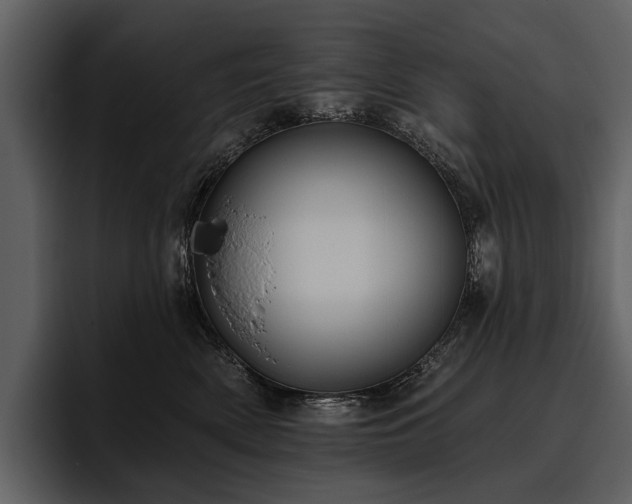 X0000095920522200801111238