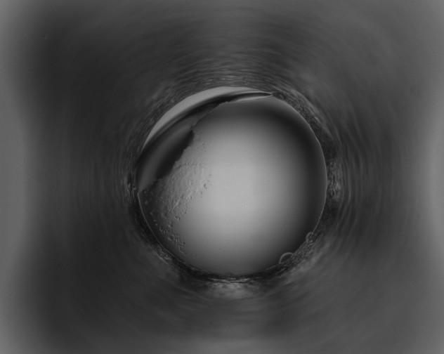 X0000095920523200801111237
